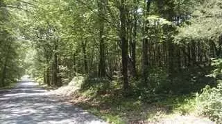 24 Moutain Rd, Milan, NY 12571