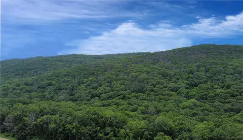 Cascade Mountain Road, Amenia, NY 12501