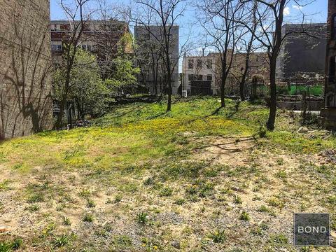 368 E 152nd St, Bronx, NY 10455 photo 1
