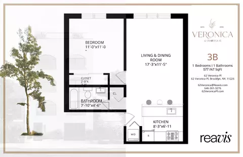 62 Veronica Pl #3-B, Brooklyn, NY 11226