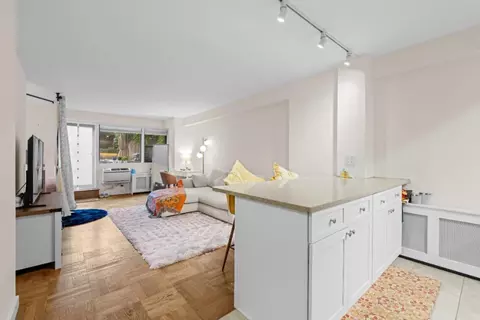 245 E 24th St #2C, New York, NY 10010