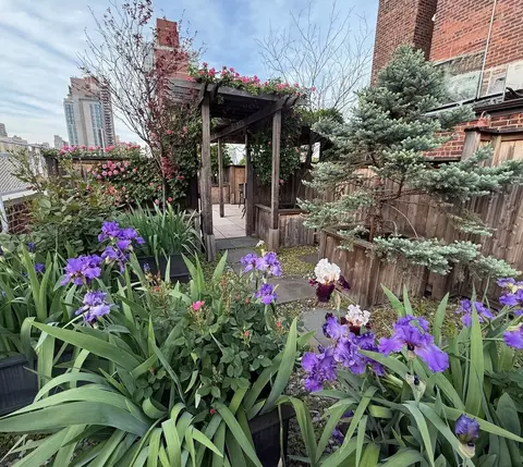 401 E 74th St #8A, New York, NY 10021