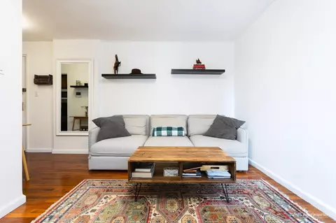 Living - 515 E 7th St #2A, Brooklyn, NY 11218 photo 3 of 3