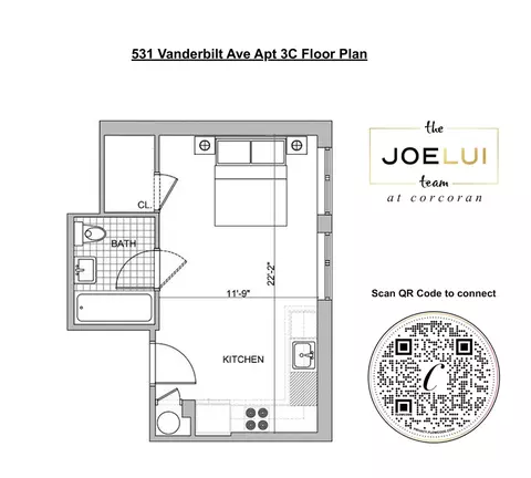 531 Vanderbilt Ave #3C, Brooklyn, NY 11238