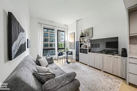 550 Vanderbilt Ave #203, Brooklyn, NY 11238