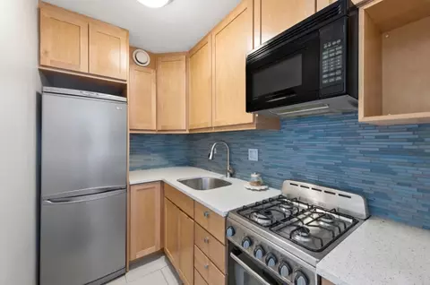 333 E 14th St #15M, New York, NY 10003