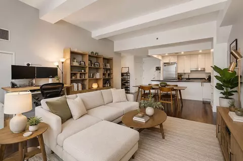 1 Hanson Pl #9-D, New York City, NY 11217