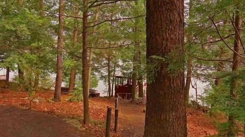 102 Rockhurst, Cleverdale, NY 12820 photo 5