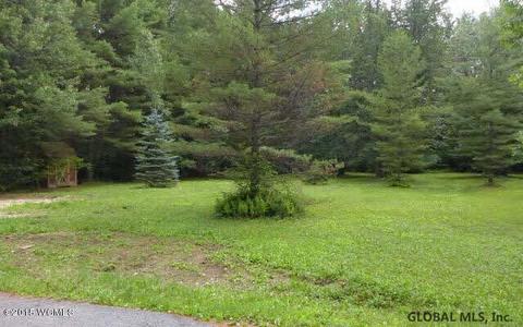 461 County Route 10, Corinth, NY 12822 photo 4