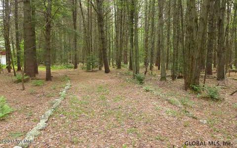 461 County Route 10, Corinth, NY 12822 photo 9