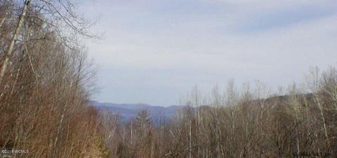 L20.2 Goldey Road, Huletts Landing, NY 12841