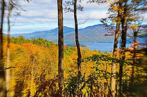 18 Eagle Rdg, Diamond Point, NY 12824 photo 5