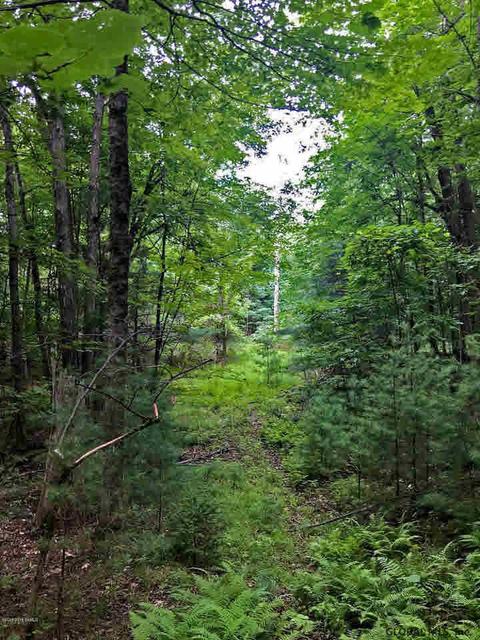 L2 Buckbee Road, Queensbury, NY 12804