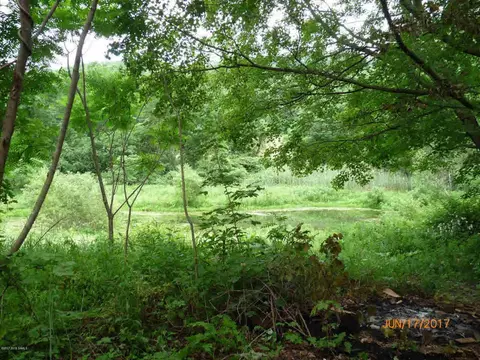 1246 Coach Rd, Argyle, NY 12809 photo 24