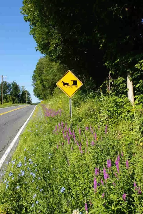 2471 County Route 18, Hampton, NY 12837 photo 30