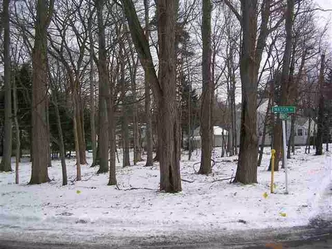 92 Mason Rd, Delmar, NY 12054 photo 1