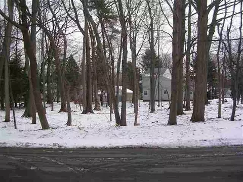 92 Mason Rd, Delmar, NY 12054 photo 5