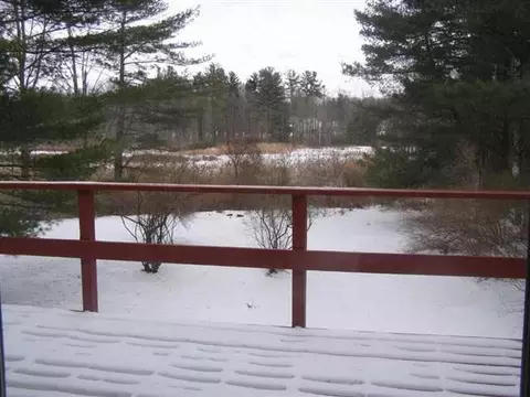310 Elm Ave, Delmar, NY 12054 photo 4