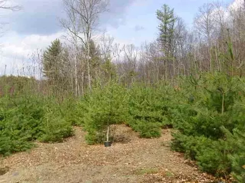 424 E Lake Rd, Argyle, NY 12809 photo 5