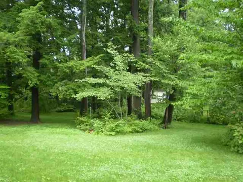 28 Wallace Dr, Delmar, NY 12054 photo 8