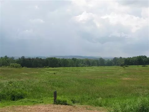 336 Darrow Rd, Root, NY 12166 photo 12