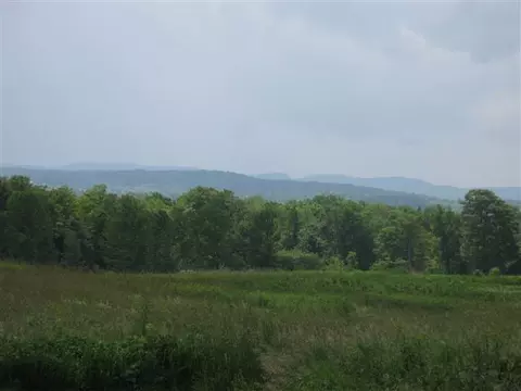 336 Darrow Rd, Root, NY 12166 photo 11