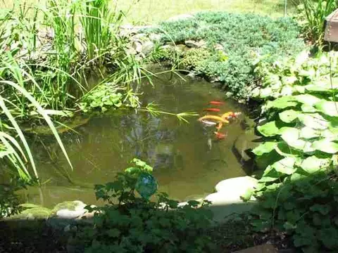 27 Catherine St, Delmar, NY 12054 photo 9