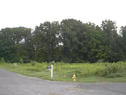 67 Mason Ln, Slingerlands, NY 12159 photo 6