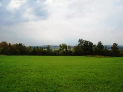 555 Darrow Rd, Sprakers, NY 12166 photo 9