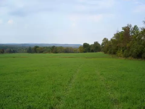 555 Darrow Rd, Sprakers, NY 12166 photo 10