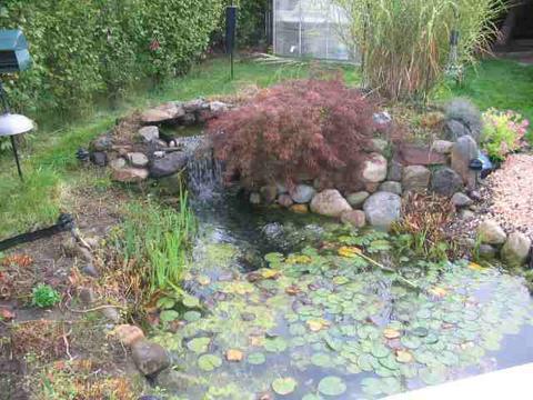 6 Oakleaf Dr, Halfmoon, NY 12065 photo 4