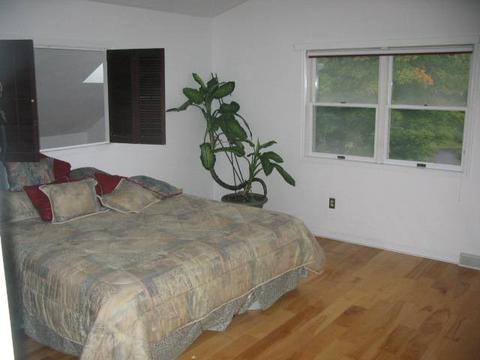 6 Oakleaf Dr, Halfmoon, NY 12065 photo 9