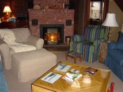 123 Summit Lake Rd, Summit, NY 12175 photo 5