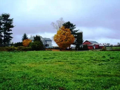 317 Lynk St, Root, NY 12166 photo 9