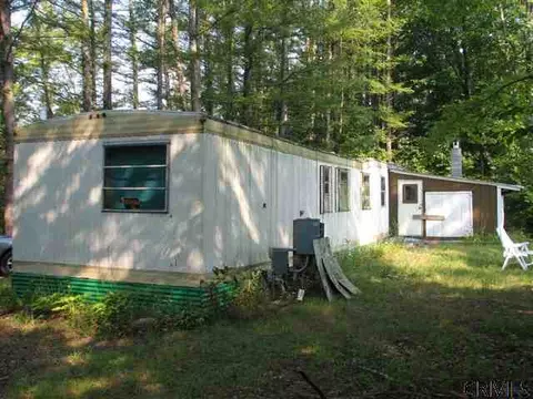 145 Battenkill Evergreens, Jackson, NY 12865 photo 4