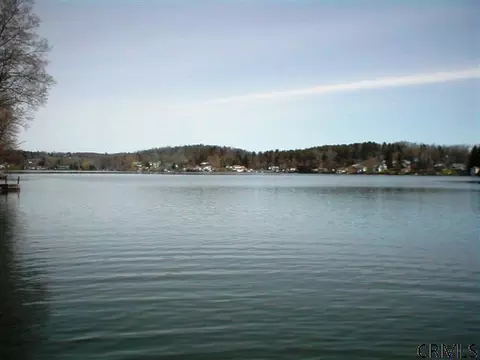 141 Dyer Rd, East Berne, NY 12059 photo 15