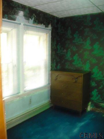 25 Bruce Dr, East Glenville, NY 12008 photo 9