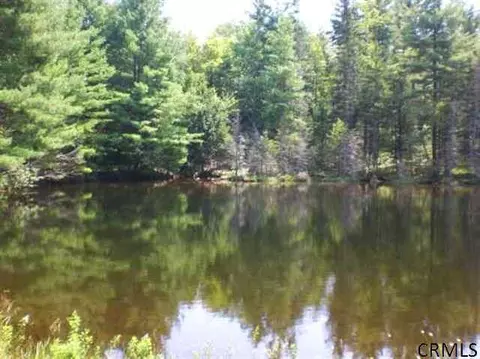 708 Barlow Rd, Bleecker, NY 12078 photo 4