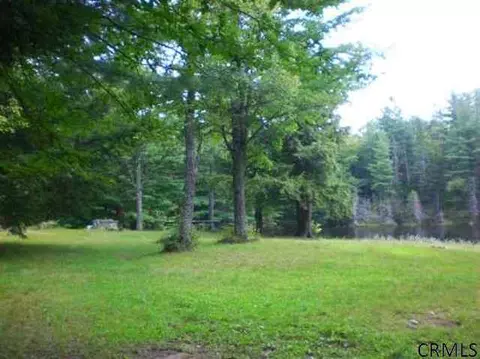 708 Barlow Rd, Bleecker, NY 12078 photo 8