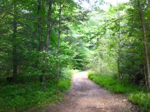 708 Barlow Rd, Bleecker, NY 12078 photo 3