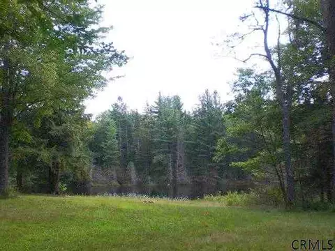 708 Barlow Rd, Bleecker, NY 12078 photo 11