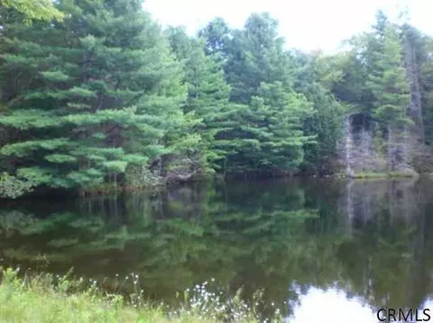 708 Barlow Rd, Bleecker, NY 12078 photo 9