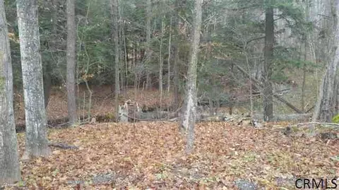 1209 Rickard Hill Rd, Wright, NY 12023 photo 6