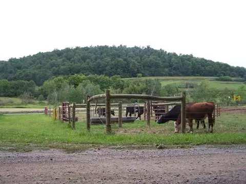 65 Coach Rd, Argyle, NY 12809 photo 10