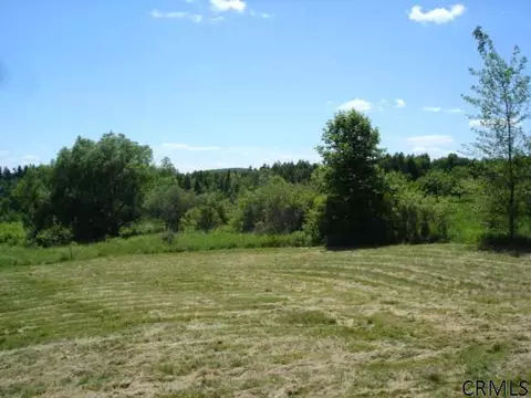 681 Baldwin Rd, Summit, NY 12175 photo 6