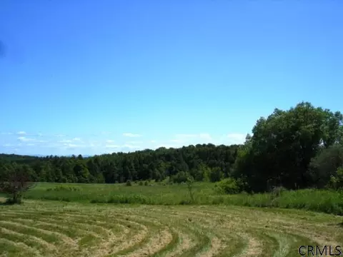 681 Baldwin Rd, Summit, NY 12175 photo 12
