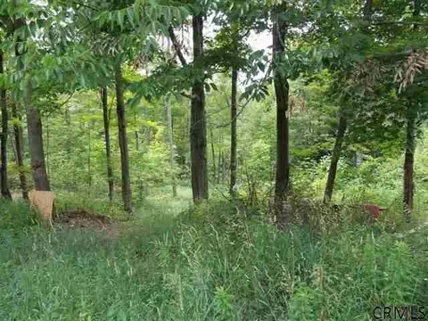 369 Hill Rd, Worcester, NY 12197 photo 7