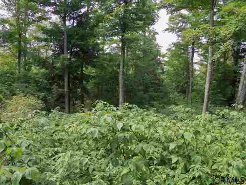 369 Hill Rd, Worcester, NY 12197 photo 10