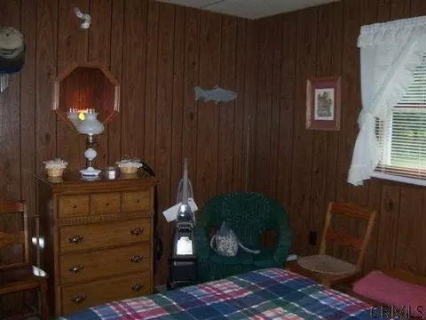 390 Snow Rd, Day, NY 12835 photo 11