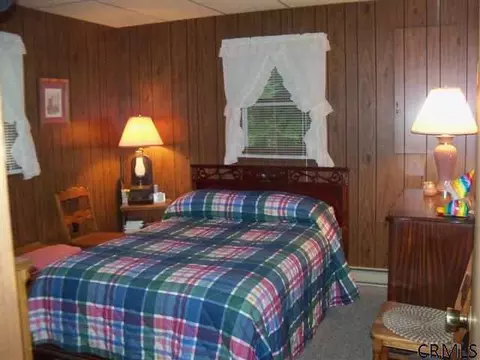 390 Snow Rd, Day, NY 12835 photo 10